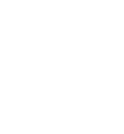 D-Village